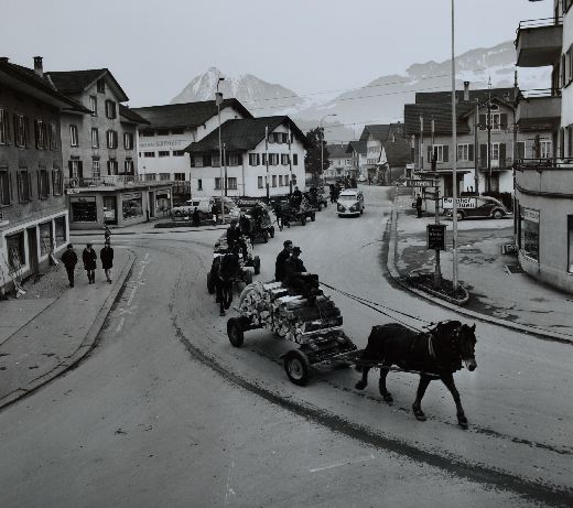 Foto Brennholz Transport mit Pferden
