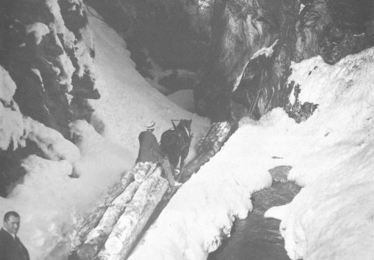 Foto Transport mit Schlitten