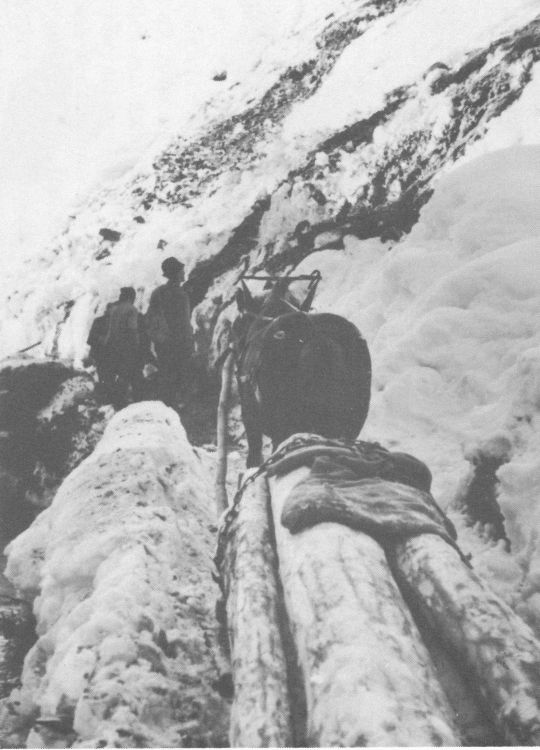 Foto Transport mit Schlitten