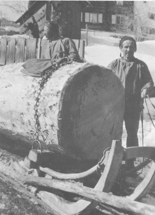 Foto Transport mit Schlitten