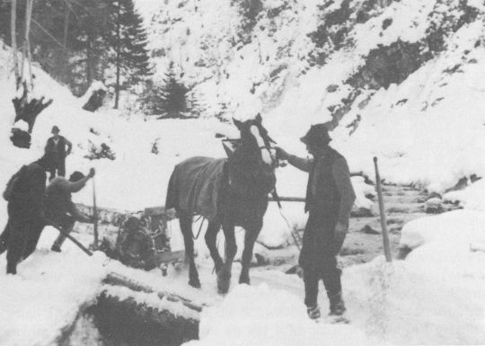 Foto Malheur bei Transport mit pferdegezogenem Schlitten