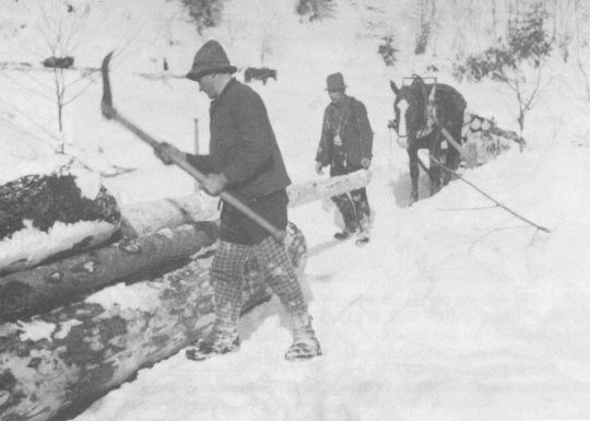 Foto Transport mit pferdegezogenem Schlitten - Aufladen der Guntler