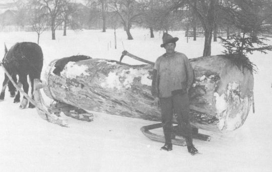 Foto Transport eines "Riesenholzes" mit pferdegezogenem Schlitten