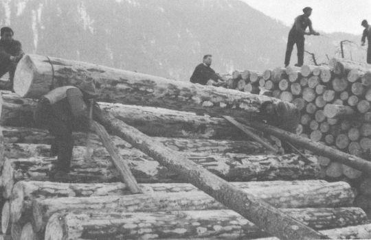 Foto Lagerung des Holzes  - Rollen des Blockholzes