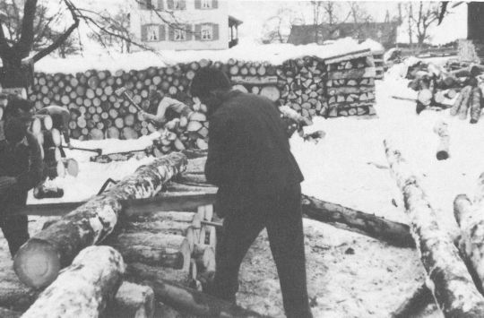 Foto Zersägen und Spalten der Stämme zu Klafterholz