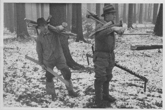Foto Muster-Holzhauergruppe der Schweiz