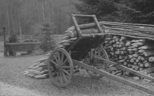 Foto Mit Pfählen beladener Karren zum Transport von Brennholz