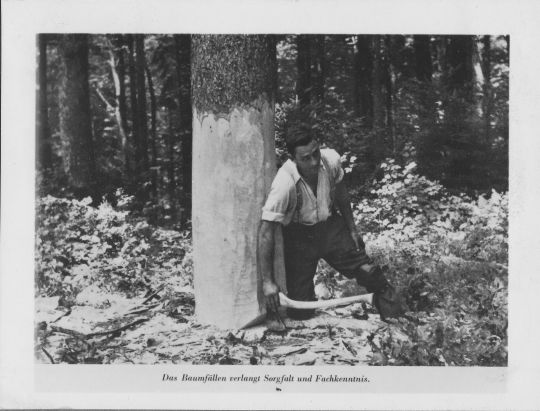 Foto Überprüfung der Kipplinie mit der Axt