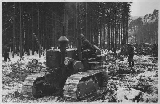 Foto Raupe von Lanz Bulldog