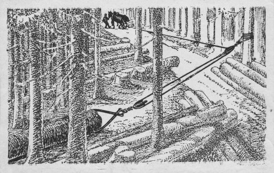 Foto "Holzschleifeinrichtung "Raco" nach Brunnhofer"