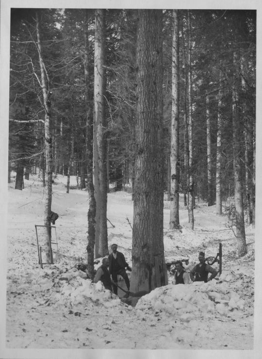 Foto Holzhauerei im Winter