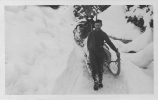 Foto Holztransport mit Handschlitten