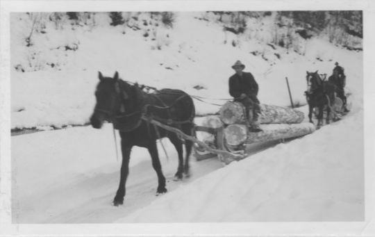 Foto Langholztransport mit Pferdeschlitten