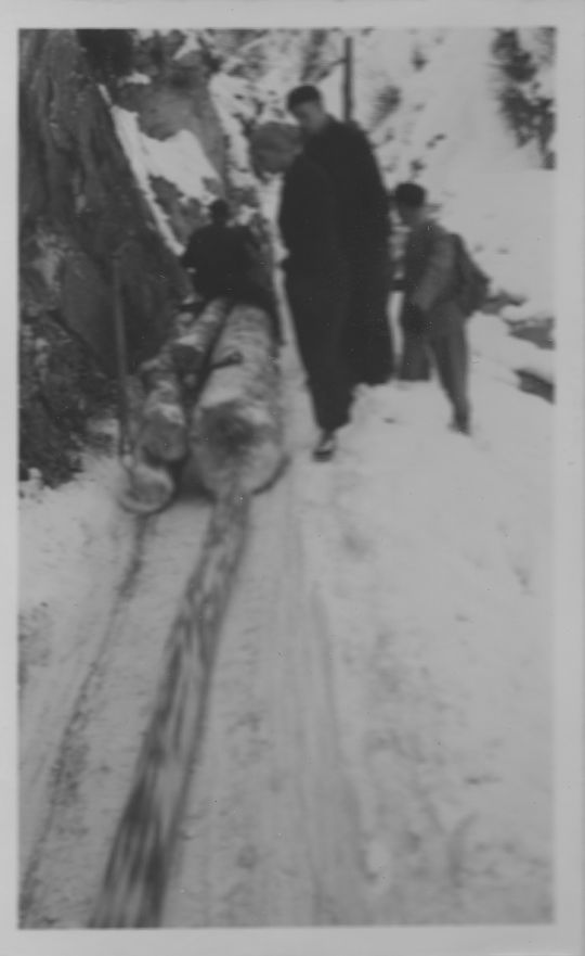 Foto Langholztransport mit Pferdeschlitten