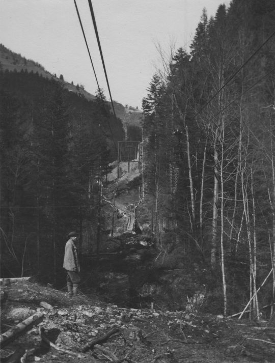 Foto Drahtseilriese der Forstverwaltung Feldkirch, Strecke Amerlügen