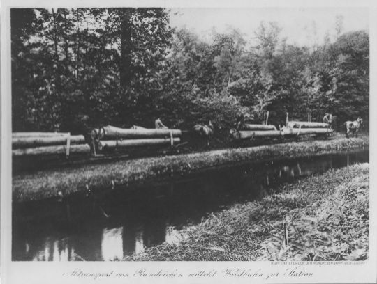 Foto Transport von Rundeichen mittelst Waldbahn zur Station
