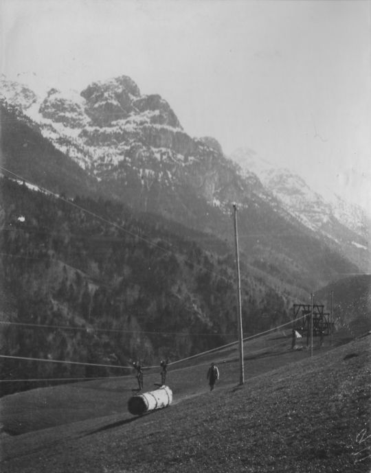 Foto Transport eines Stammes mit der Drahtseilriese bei Feldkirch im Saminatobel