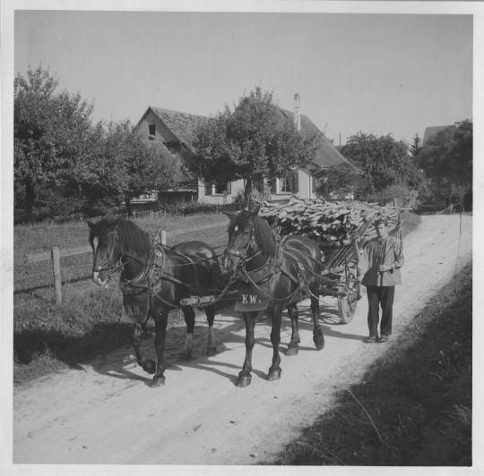Foto Holztransport mit pferdegezogenem Wagen