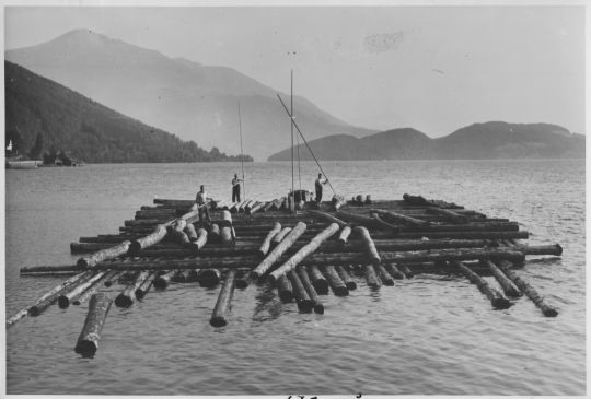 Foto Floss auf dem Zugersee