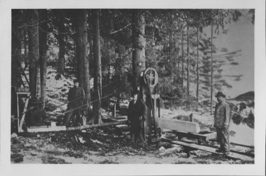 Foto Müllersche Sägerei im Wald