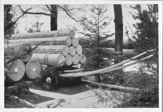 Foto Ein- oder zweispännig verwendbarer Wagen zum Langholztransport