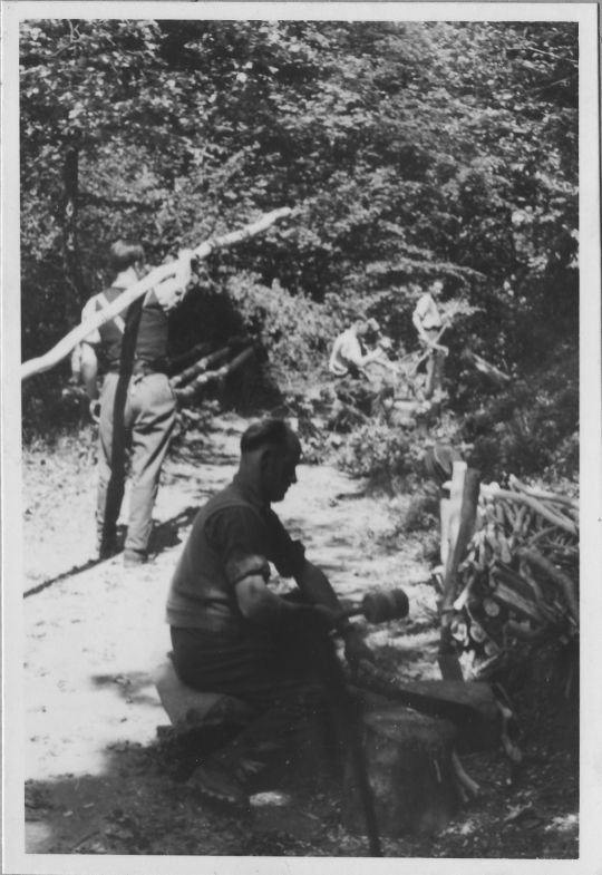 Foto Eichenrindengewinnung in der Westschweiz