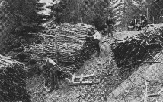 Foto Schlitten mit Motorzug