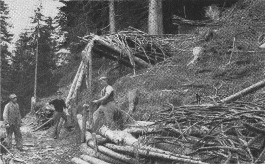 Foto Transport von Astholz mit Drahtseilriese