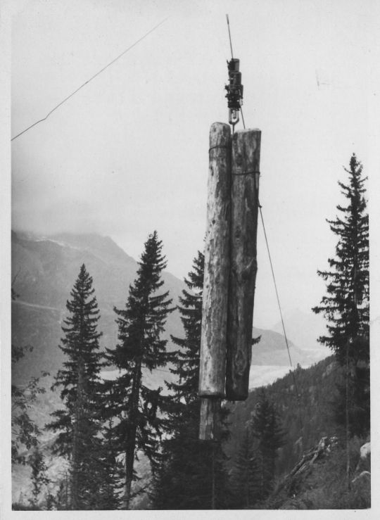 Foto Nutzholztransport von Langholz per Verfahren mit Tragseil