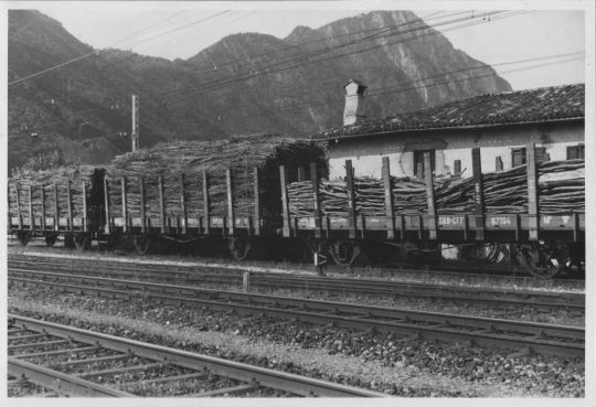 Foto Transport mit der öffentlichen Eisenbahn