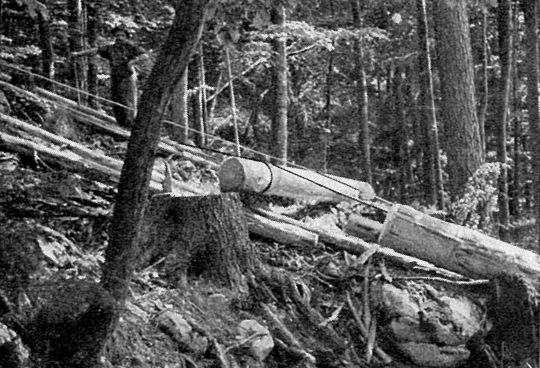 Foto Mariabrunner Seilgerät