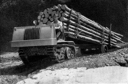 Foto Motormuli: lastentragender Raupenschlepper