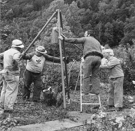 Foto Stockrodung mit Drahtseilzug und Dreibein