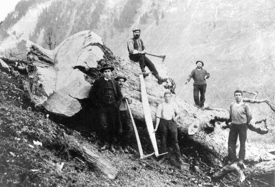 Foto Holzerequipe um 1940 ausgerüstet mit Sapinen.