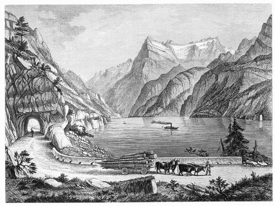 Foto Holztransport mit ochsengezogenem Wagen