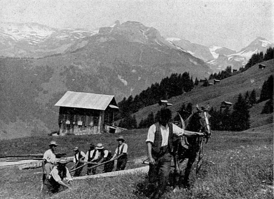 Foto Schleifen eines schweren Bauholzes
