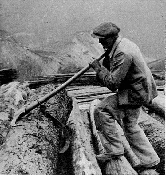 Foto Einsatz des Holzwenders