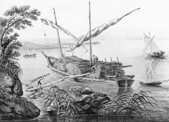 Foto "Brennholzschiff auf dem Genfersee"