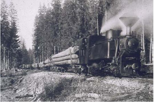 Foto Spiegelauer Waldbahn in den 1950er Jahren