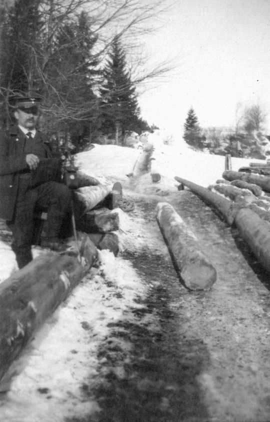 Foto Holztransport auf einem Schleifweg im Winter