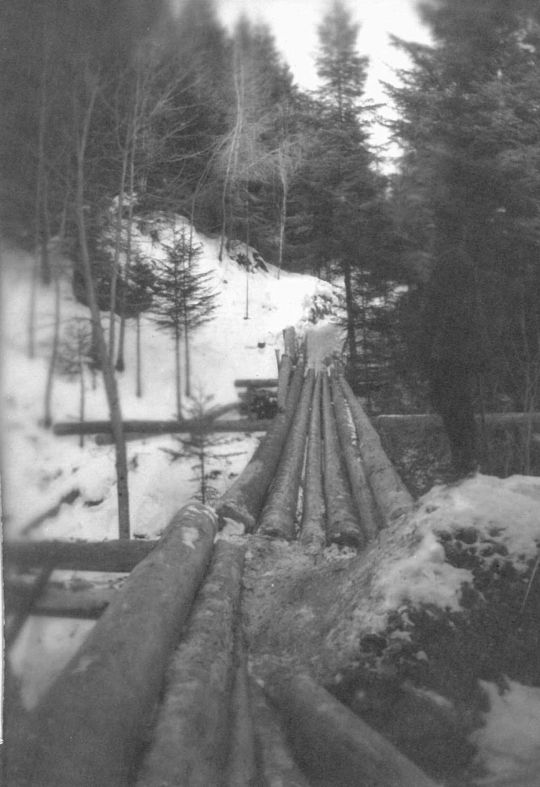 Foto Holztransport auf einem Schleifweg im Winter