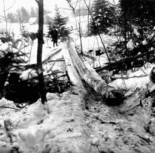 Foto Reistrinne ob Schindlenbach