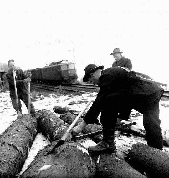 Foto Holzmessen auf Laderampe Treiche