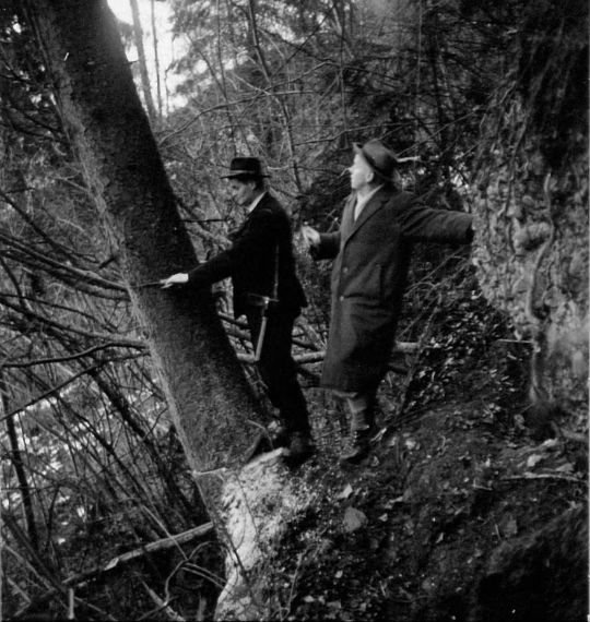 Foto Vermessen eines schiefen Baumes