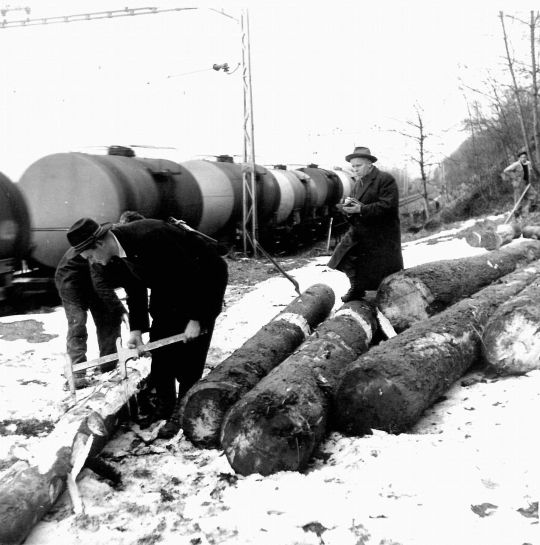 Foto Holzmessen auf Laderampe Treiche