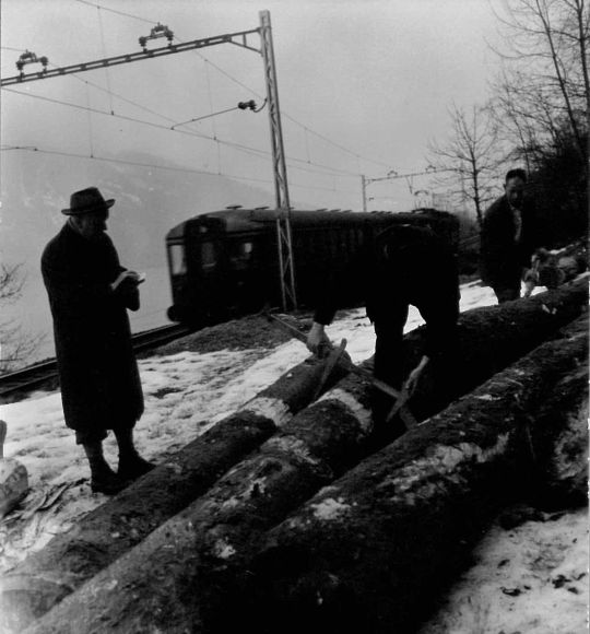 Foto Holzmessen auf Laderampe Treiche