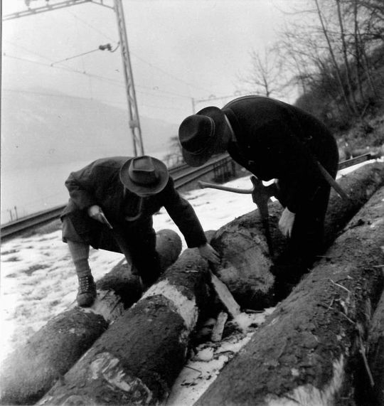 Foto Holzmessen auf Laderampe Treiche