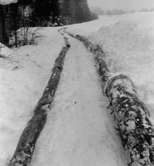 Foto Riesweg Neubann-Schindelbach