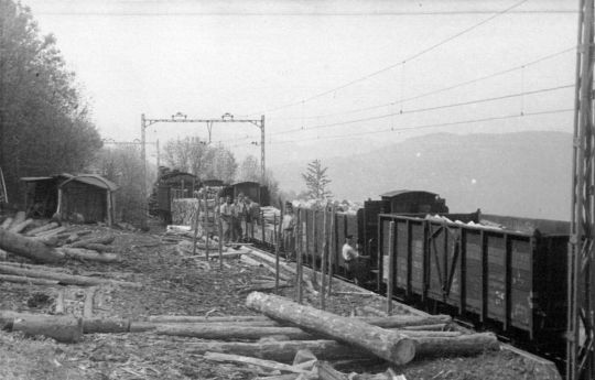 Foto Holztransport mit D-Lok und elf Wagen