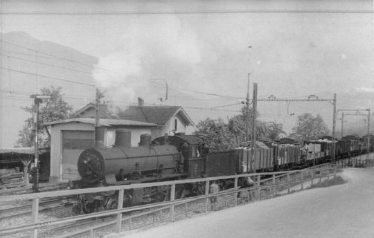 Foto Holztransport mit D-Lok und elf Wagen